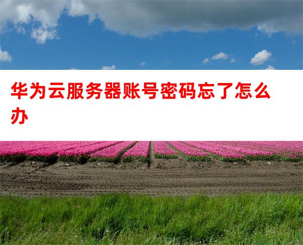 云服务器密码忘了 第2张 云服务器密码忘了 第2张