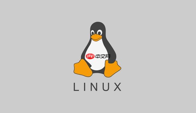 linux 如何挂载 iso 第3张 linux 如何挂载 iso 第3张