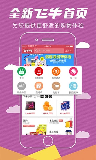 飞牛网域名选择,是飞牛网.com还是其他版本? 第2张 飞牛网域名选择,是飞牛网.com还是其他版本? 第2张