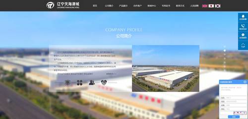 辽宁网络开发公司哪家好,辽宁网站建设公司 第1张 辽宁网络开发公司哪家好,辽宁网站建设公司 第1张