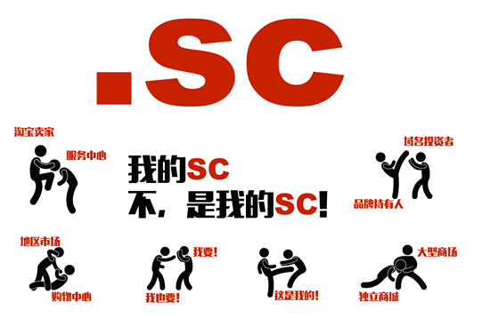 sc域名选购指南,如何判断哪个品牌sc域名更值得信赖? 第3张 sc域名选购指南,如何判断哪个品牌sc域名更值得信赖? 第3张