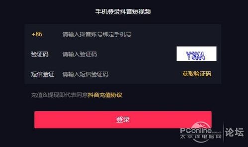 抖音报税网官方域名是什么?如何准确访问报税服务? 第2张 抖音报税网官方域名是什么?如何准确访问报税服务? 第2张