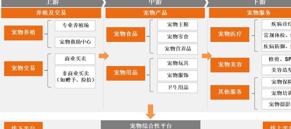 烟台电商开发有限公司的商业模式与行业地位如何? 第3张 烟台电商开发有限公司的商业模式与行业地位如何? 第3张