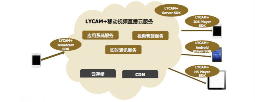 H5云直播SDK怎么接入?H5云直播SDK开发教程 第2张 H5云直播SDK怎么接入?H5云直播SDK开发教程 第2张
