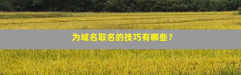 域名怎么取名最好，域名取名技巧