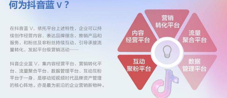 抖音小店域名归属哪家公司运营?揭秘背后神秘企业! 第2张 抖音小店域名归属哪家公司运营?揭秘背后神秘企业! 第2张