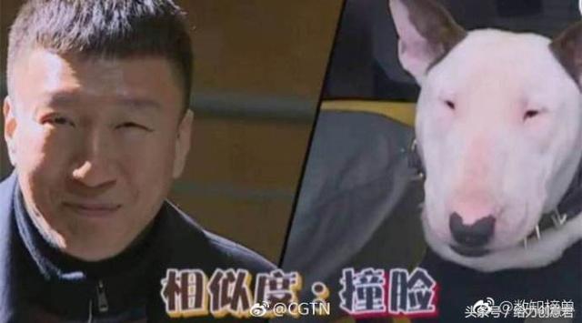 揭秘,究竟哪位明星与域名牛头梗扯上关系? 第2张 揭秘,究竟哪位明星与域名牛头梗扯上关系? 第2张