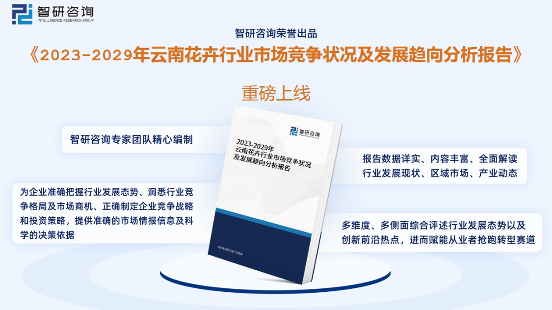 云南开发科技有限公司在云南科技开发领域的市场竞争力与战略方向是什么? 第2张 云南开发科技有限公司在云南科技开发领域的市场竞争力与战略方向是什么? 第2张
