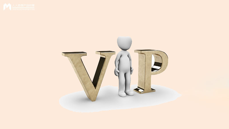 域名与VIP服务,究竟哪一种更胜一筹,满足您的网络需求? 第1张 域名与VIP服务,究竟哪一种更胜一筹,满足您的网络需求? 第1张