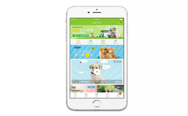 宠物App开发背景是什么,宠物app开发 第3张 宠物App开发背景是什么,宠物app开发 第3张