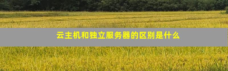 服务器独立机适合哪些场景?和云服务器有什么区别? 第3张 服务器独立机适合哪些场景?和云服务器有什么区别? 第3张