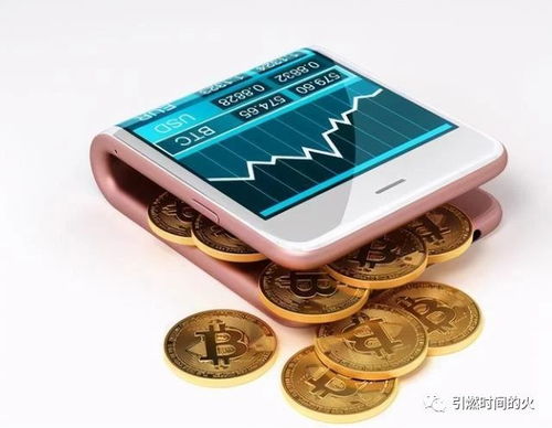 哪个域名币钱包最适合存储和管理我的域名币资产? 第2张 哪个域名币钱包最适合存储和管理我的域名币资产? 第2张
