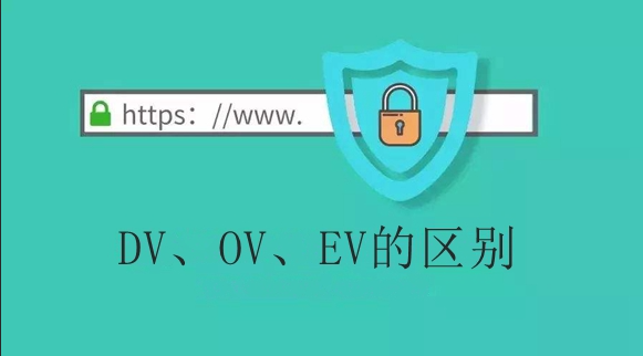 通配符证书与单域名证书,究竟谁更胜一筹?全面对比解析 第1张 通配符证书与单域名证书,究竟谁更胜一筹?全面对比解析 第1张