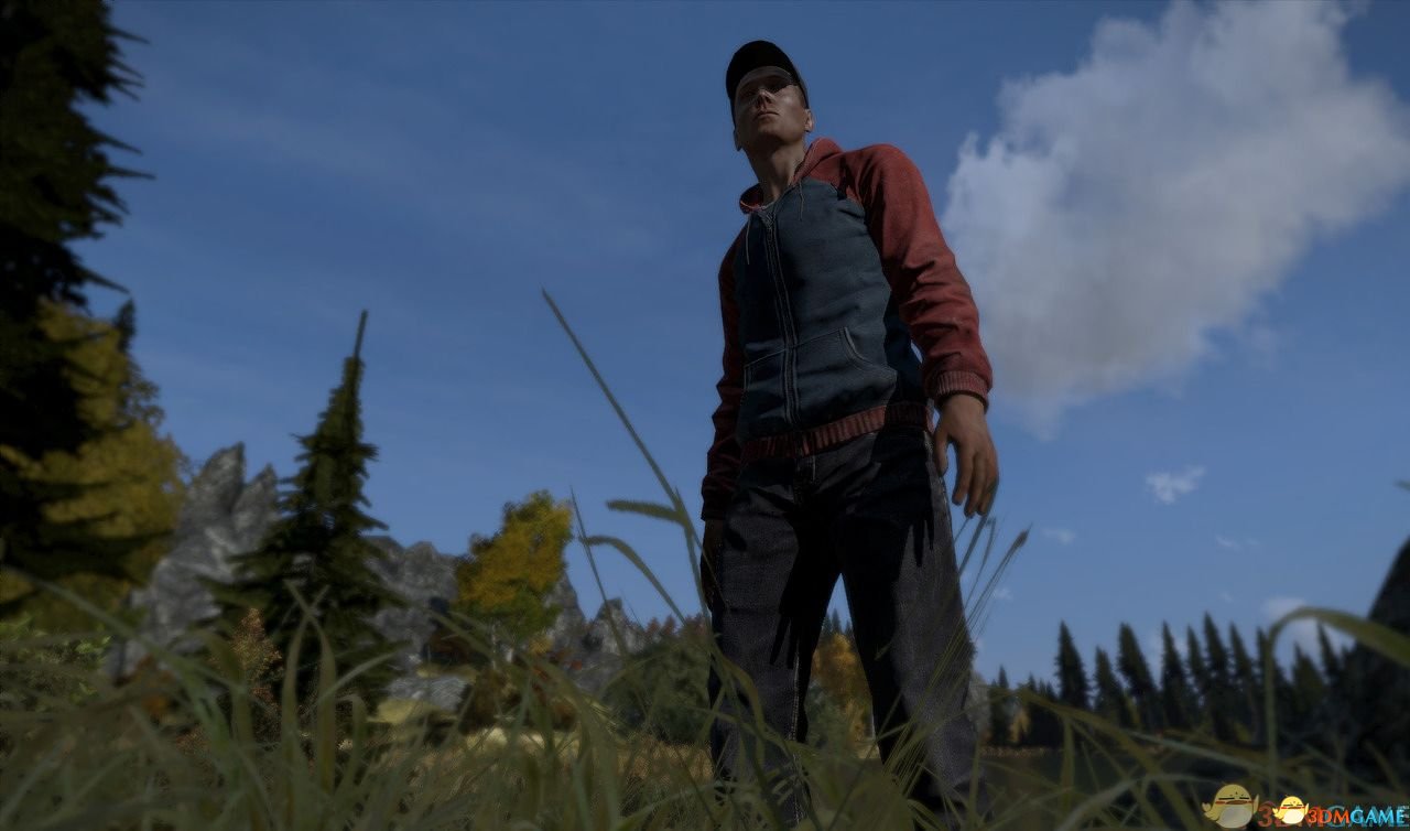 dayz配置要求高吗,dayz配置 第3张 dayz配置要求高吗,dayz配置 第3张
