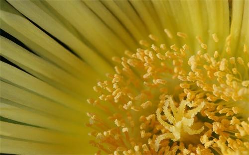 java数组怎么动态添加元素 第3张 java数组怎么动态添加元素 第3张