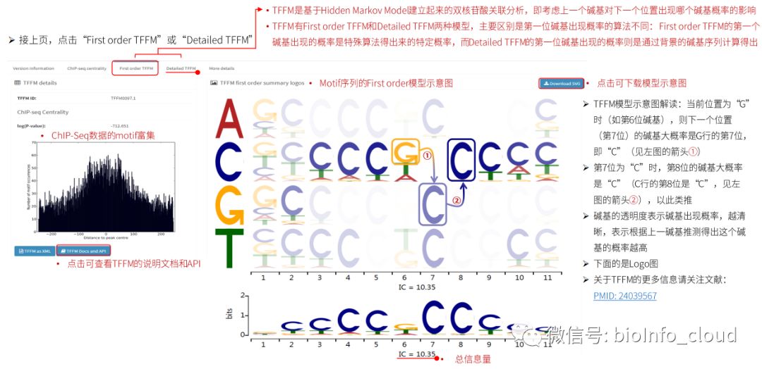 JASPAR数据库究竟如何高效使用,入门教程揭秘! 第3张 JASPAR数据库究竟如何高效使用,入门教程揭秘! 第3张