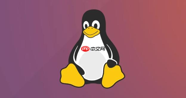 Linux系统是32位还是64位？一招秒查！