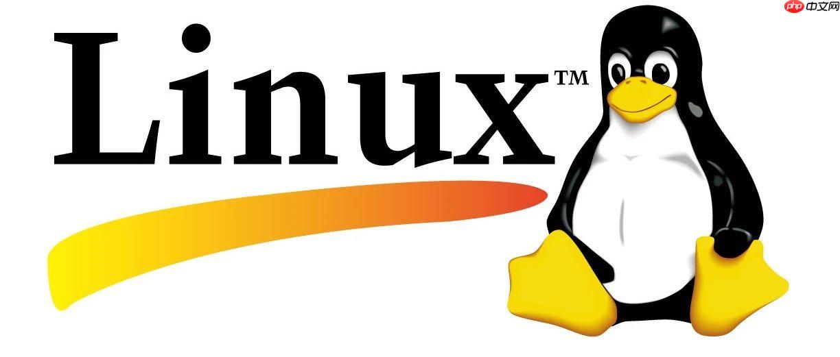 linux版如何下载软件 第1张 linux版如何下载软件 第1张