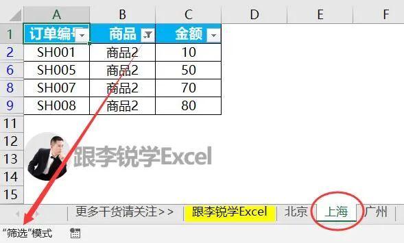 Excel如何筛选两个条件 第1张 Excel如何筛选两个条件 第1张