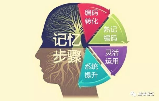 记忆检索是什么,如何提升记忆力 第2张 记忆检索是什么,如何提升记忆力 第2张