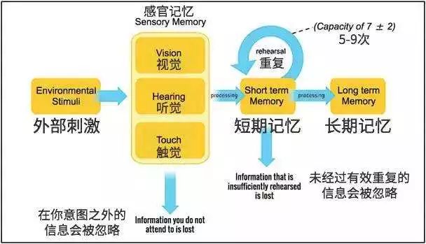 什么是实体记忆Entity Memory?AI实体记忆技术原理与应用 第1张 什么是实体记忆Entity Memory?AI实体记忆技术原理与应用 第1张