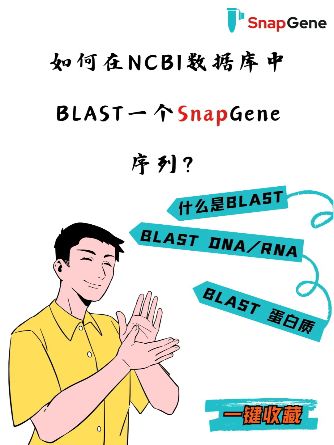 Blast如何选择数据库 第3张 Blast如何选择数据库 第3张