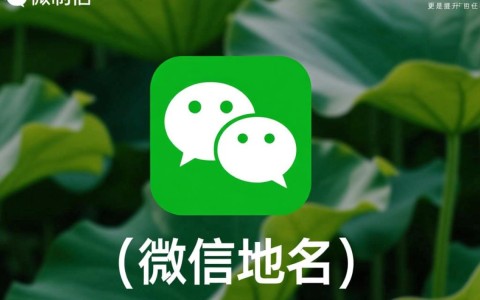 手机微信登录时,究竟应该选择哪个官方域名进行安全登录? 第3张 手机微信登录时,究竟应该选择哪个官方域名进行安全登录? 第3张