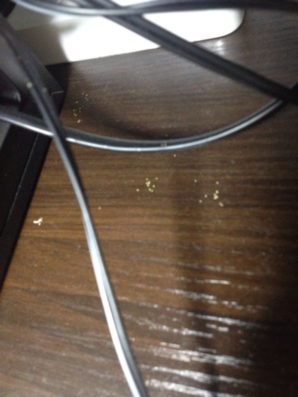 为什么桌面上有个小白点 第3张 为什么桌面上有个小白点 第3张