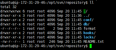 Linux如何用SVN操作文件?