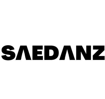 saedanz商标究竟有何独特之处,为何引人关注? 第3张 saedanz商标究竟有何独特之处,为何引人关注? 第3张