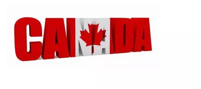 加拿大本土域名.ca,究竟属于哪个国家的专属标识? 第1张 加拿大本土域名.ca,究竟属于哪个国家的专属标识? 第1张