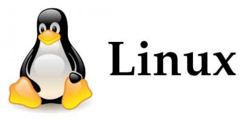 安卓系统下的Linux,为何如此独特,有何特别之处? 第1张 安卓系统下的Linux,为何如此独特,有何特别之处? 第1张