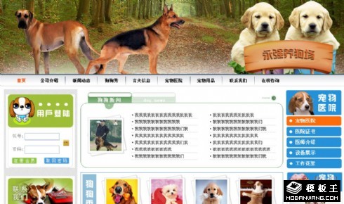 狗网站模板怎么制作?狗网站模板制作教程 第1张 狗网站模板怎么制作?狗网站模板制作教程 第1张