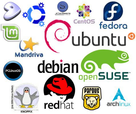 linux 如何查看perl版本 第3张 linux 如何查看perl版本 第3张
