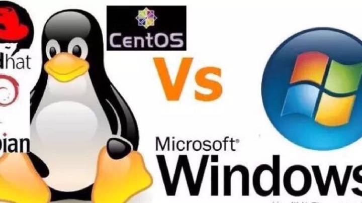 选择哪个系统与域名对应最有效,是Linux还是Windows? 第3张 选择哪个系统与域名对应最有效,是Linux还是Windows? 第3张