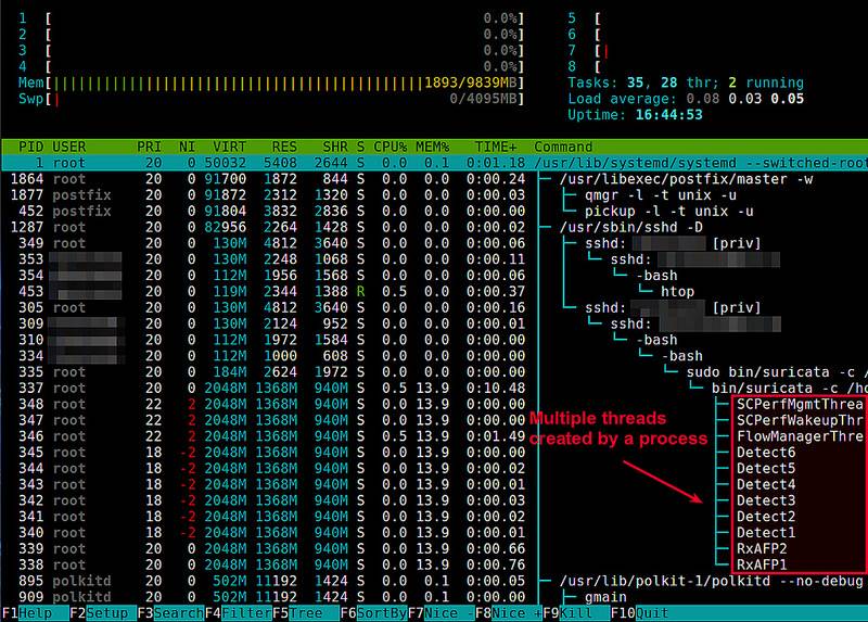 如何查看linux下的进程 第2张 如何查看linux下的进程 第2张