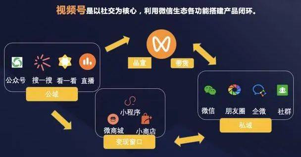 yw视频平台换域名后,应该访问哪个新域名呢?揭秘转换细节 第1张 yw视频平台换域名后,应该访问哪个新域名呢?揭秘转换细节 第1张