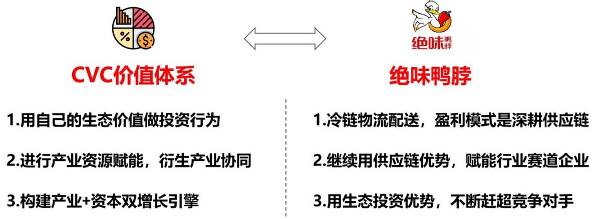 cvc域名具体指哪些类型,哪一种最适合我的需求? 第3张 cvc域名具体指哪些类型,哪一种最适合我的需求? 第3张