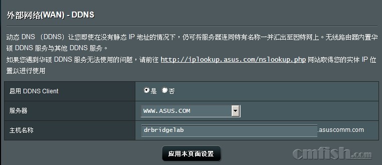 ddns和域名,究竟谁才是网络稳定的王者?选对就对了吗? 第1张 ddns和域名,究竟谁才是网络稳定的王者?选对就对了吗? 第1张