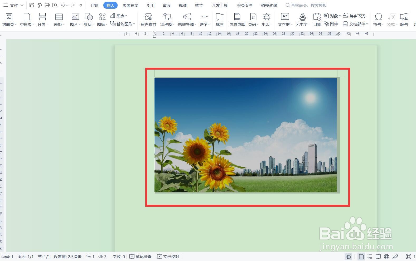 为什么wps里面插入的图片很模糊 第1张