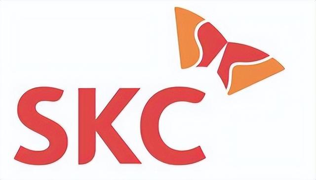 SK域名究竟代表哪个国家?揭秘全球唯一SK国家域名之谜! 第1张 SK域名究竟代表哪个国家?揭秘全球唯一SK国家域名之谜! 第1张
