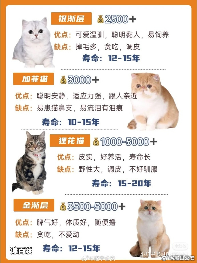 猫类域名哪个最值得投资?如何挑选优质猫类域名? 第1张 猫类域名哪个最值得投资?如何挑选优质猫类域名? 第1张