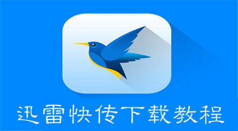 迅雷快传服务器为何偷懒?背后真相及影响探讨! 第1张 迅雷快传服务器为何偷懒?背后真相及影响探讨! 第1张