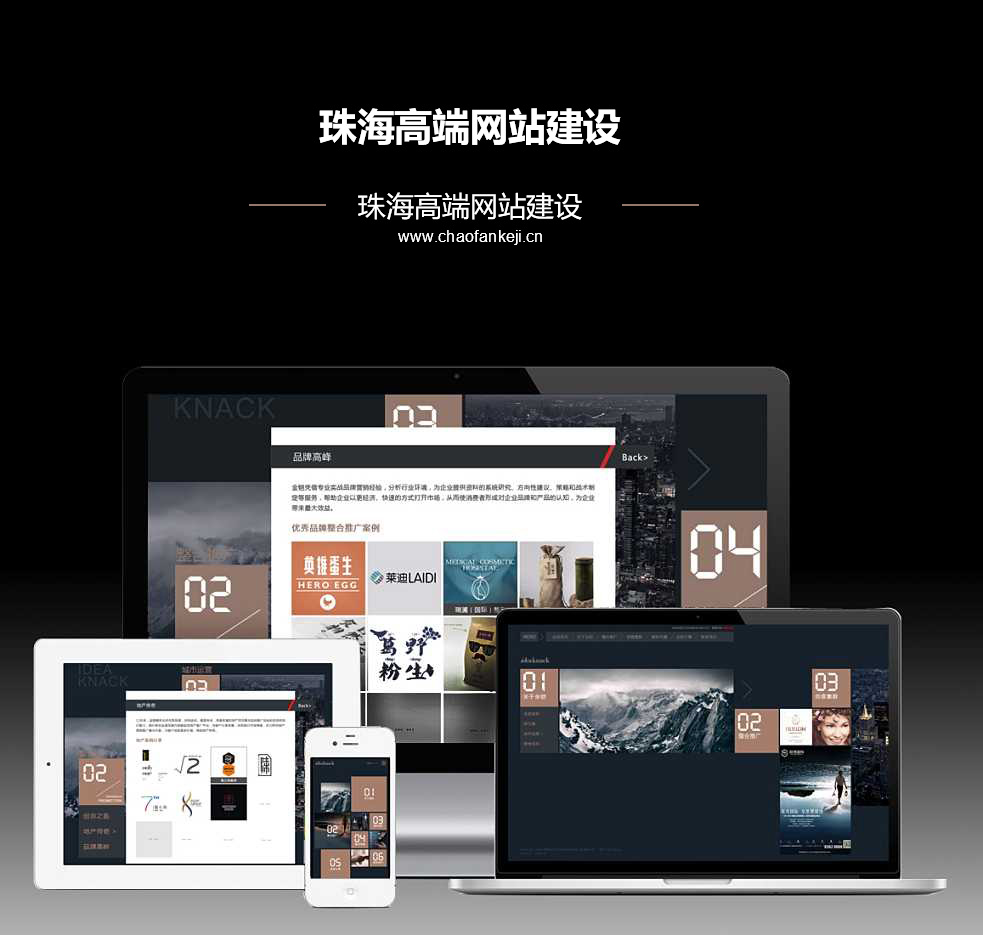 珠海网站设计开发技术哪家好,珠海网站建设公司 第2张 珠海网站设计开发技术哪家好,珠海网站建设公司 第2张