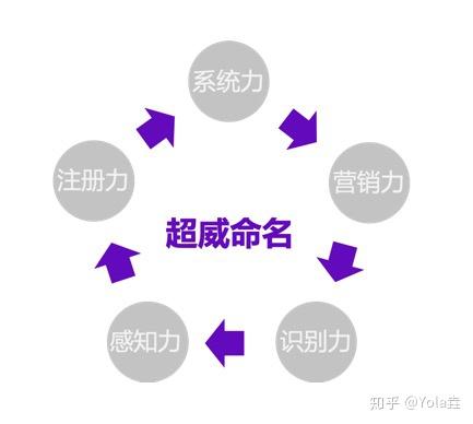 团队竞选域名,哪个更胜一筹,品牌识别度高且易于记忆? 第1张 团队竞选域名,哪个更胜一筹,品牌识别度高且易于记忆? 第1张