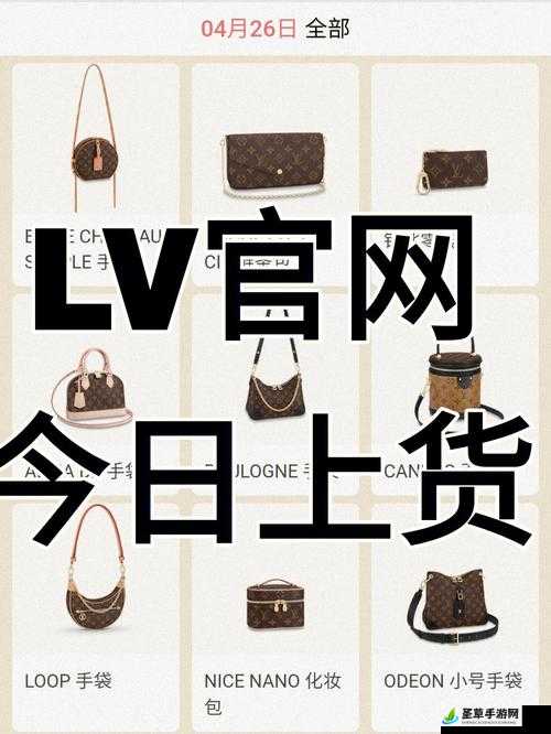 LV域名究竟属于哪个国家的官方网站?背后有何特殊含义? 第3张 LV域名究竟属于哪个国家的官方网站?背后有何特殊含义? 第3张