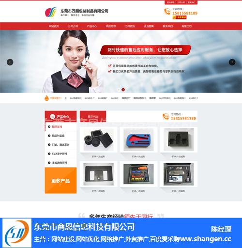 东莞制作网站开发贵吗，东莞网站建设公司
