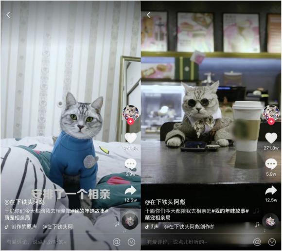 抖音猫哥为什么找不到了