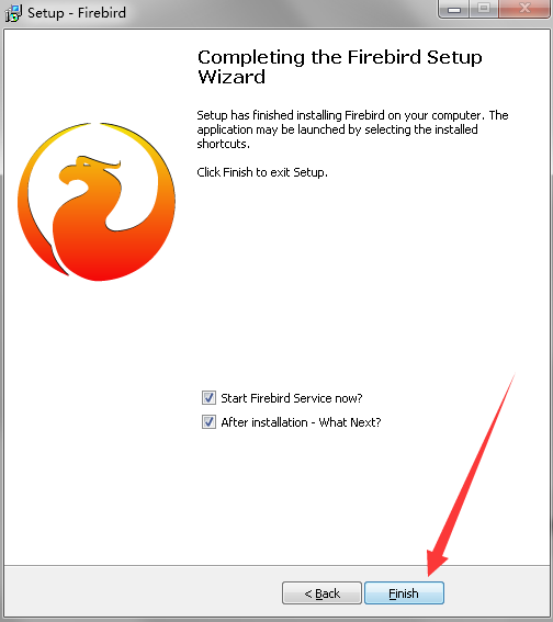 Firebird客户端如何快速连接?操作指南 第3张 Firebird客户端如何快速连接?操作指南 第3张