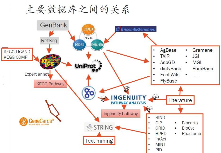 如何深入探究数据库中不同表之间的复杂联系关系? 第3张 如何深入探究数据库中不同表之间的复杂联系关系? 第3张